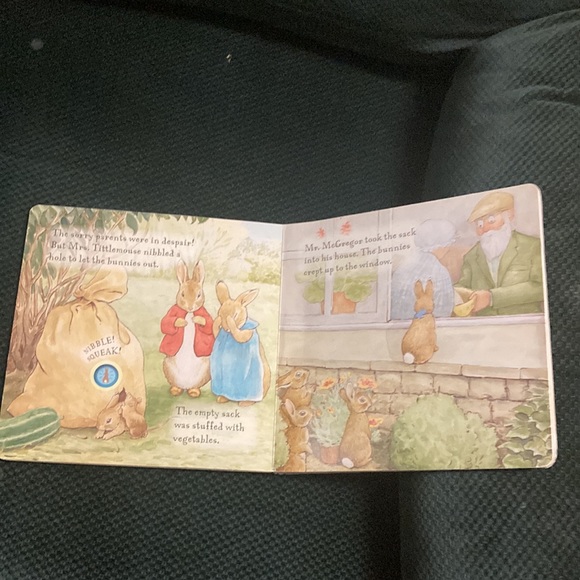 “Peter rabbit and the Flopsy bunnies “ kids sound board book - Picture 6 of 14